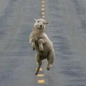 Wendy Baxter's photo