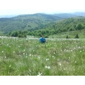 Marian Banea's photo