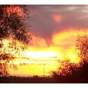 Dawn Frantz Manion's photo