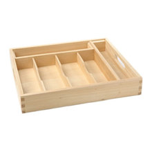 Organization