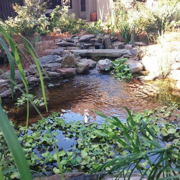 Asian Inspired Koi Pond