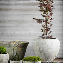Garden - Pots