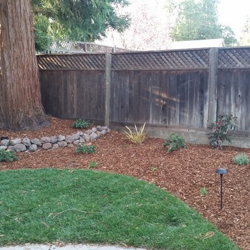 Drought Tolerant