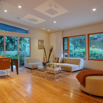 Nichols Canyon remodel