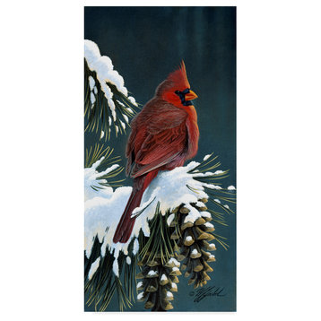 Wilhelm Goebel 'Winter Cardinal' Canvas Art, 24"x12"