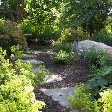 Landscape Ideas