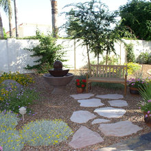 Bird space backyard