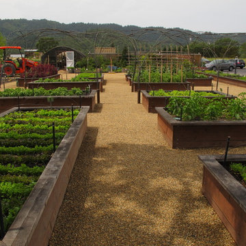 Vegetable gardens