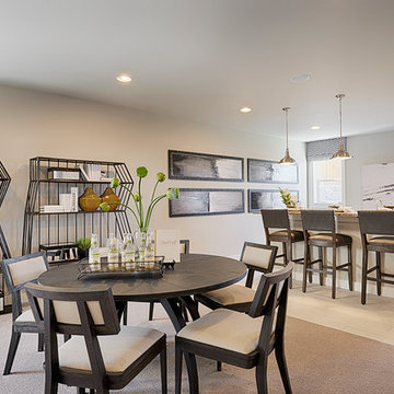 Daley Model Home in Washington