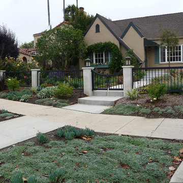 A lawn and entry-way renovation