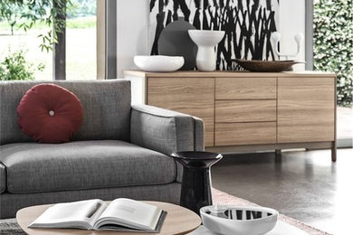 Inspiration for a contemporary living room remodel in Other