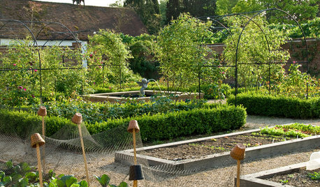 Que faire au potager au mois de mars ?