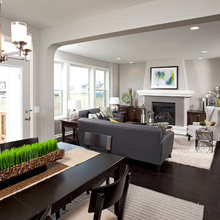 Living Room Ideas