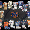 Original Art of the NCAA 1971 Auburn Tigers Uniform