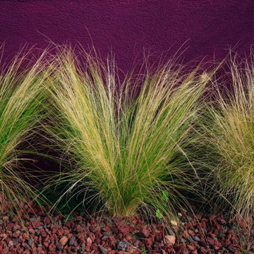 jardin exotique