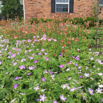 Native Perennial Gardens