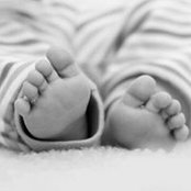 Katja Nitschke's photo