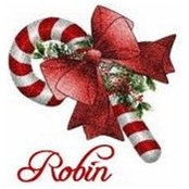 Robin Comparini's photo