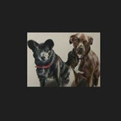Kristal Roche's photo