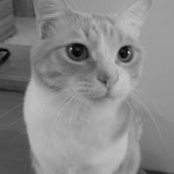 Katie Puhl's photo