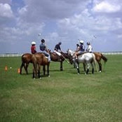 Timothy Mattox's photo
