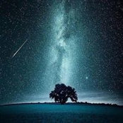 Jess Bohr's photo