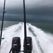 Chris Jenkins's photo