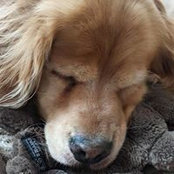 Jill Johnson's photo