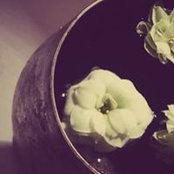 viktorija_serdar's photo