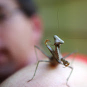 Foto von Todd Chambery
