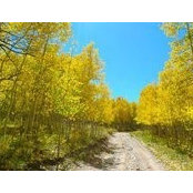 Tami Yinger's photo