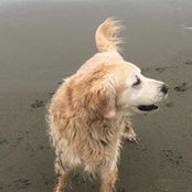 Clara McKenzie's photo