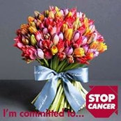 Brandi Davis's photo