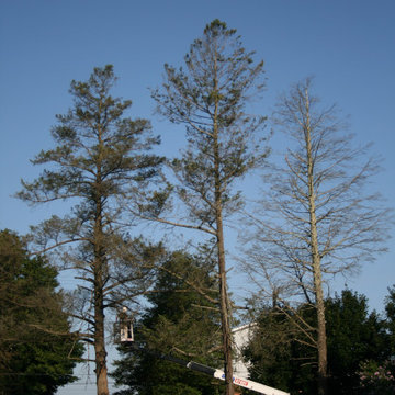 Fawn Grove Cemetery