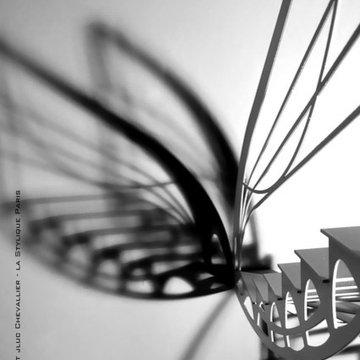 escalier design papillon