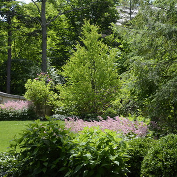 Ravine Restoration and Stabilization