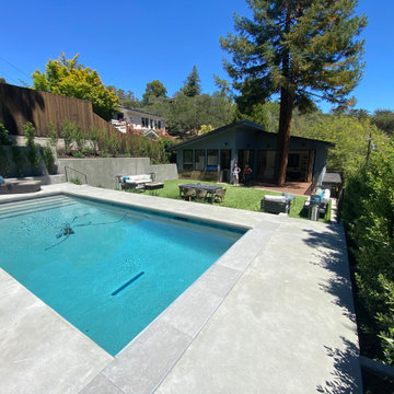 Larkspur Contemporary Hillside