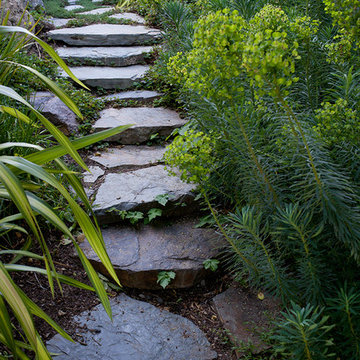 San Anselmo Hillside