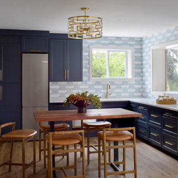 Basement Mini Kitchen