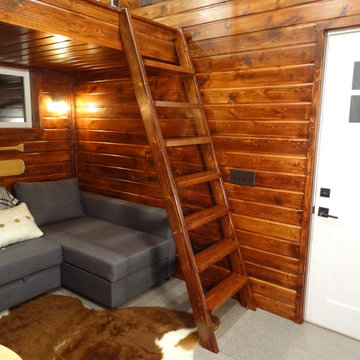 Tiny Cabin