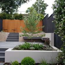 Stafford St Courtyard