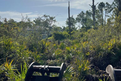 Lehigh Clearing Underbrush Project