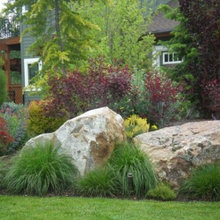 Front yard and driveway