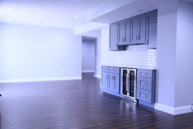 Transitional basement photo in DC Metro