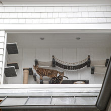 Catio