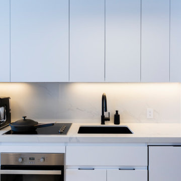 Modern Minimalist Urban Condo