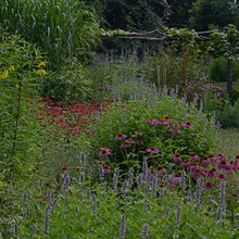 Native Garden Design