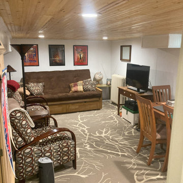Basement Office Remodel