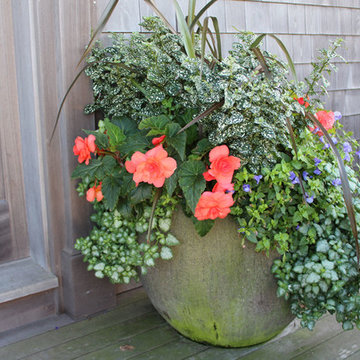 Window Boxes / Containers