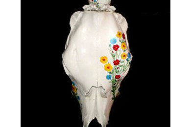 Cow Skull Bird house/ Bird Feeder